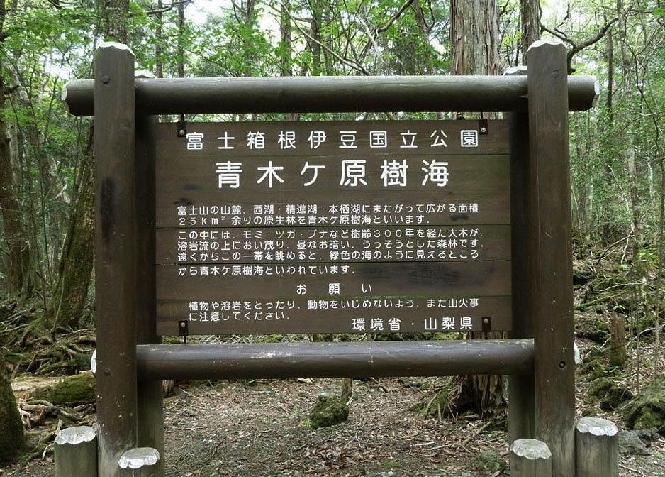 在日本被誉为“自杀森林”的青木原树海是什么地方