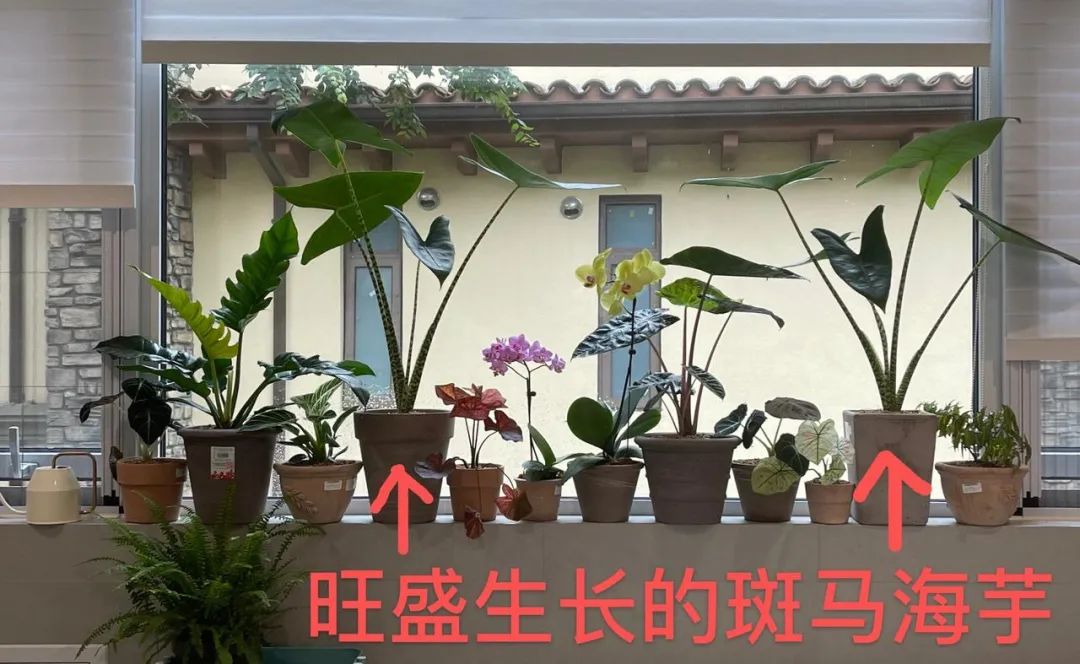 生意难做怎么持续盈利,生意难做要怎么做才赚钱