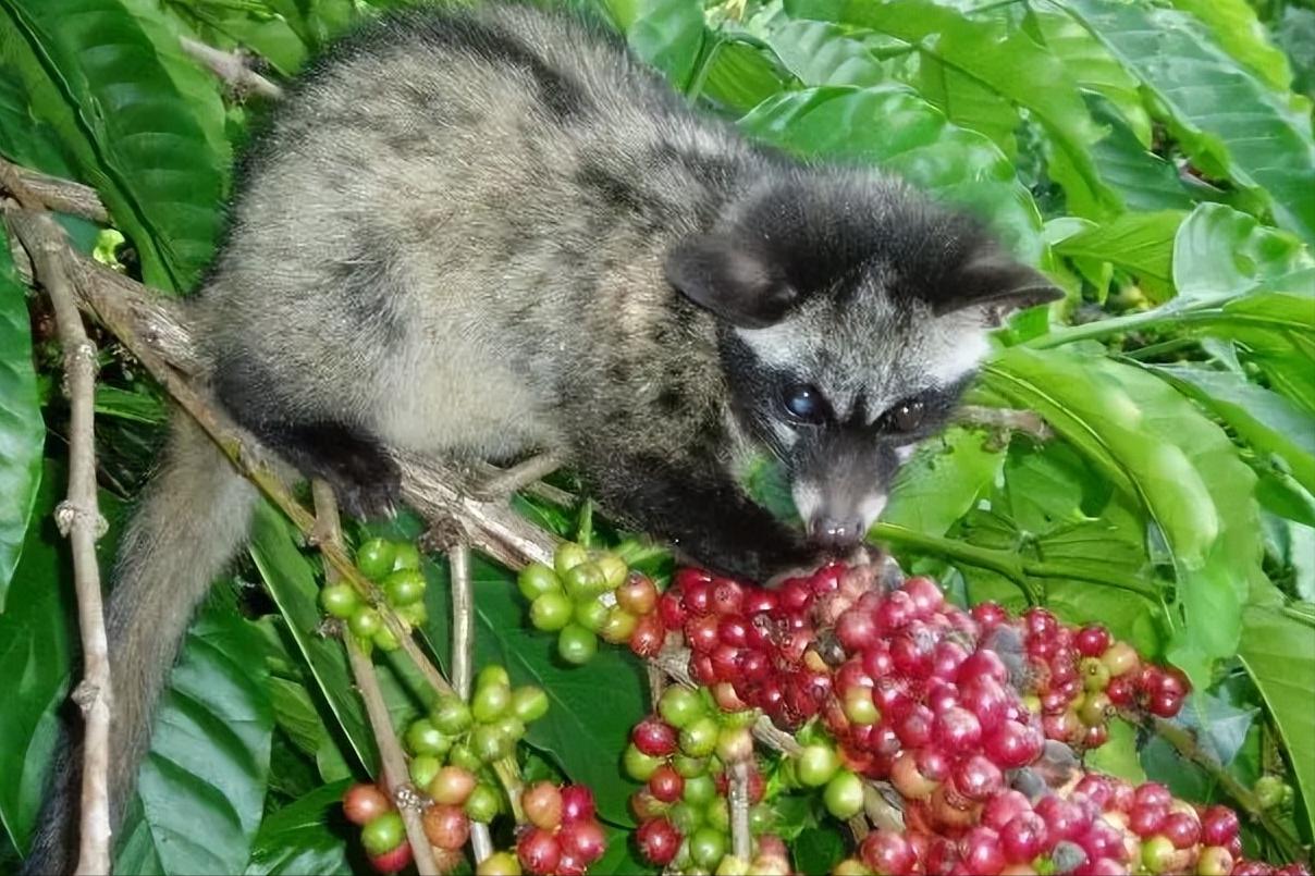 穷人世界你不懂,富人的世界你不懂