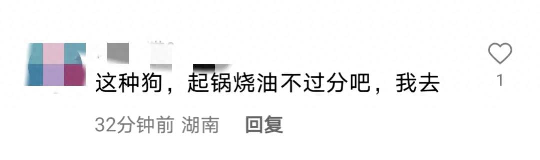 女子夜跑被恶犬咬伤后续,25岁未婚女子夜跑被恶犬咬伤后续