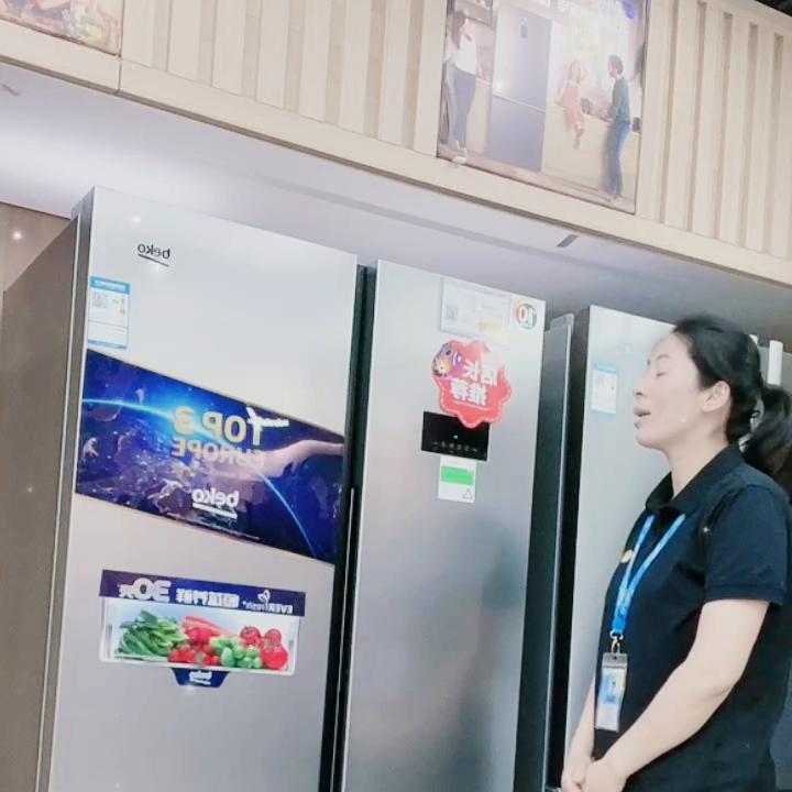 大容量冰箱推荐,大容量冰箱品牌排行榜前十