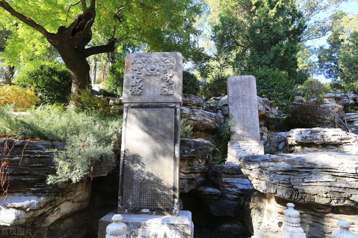 金朝末代皇帝完颜承麟在位88天,金朝皇帝完颜