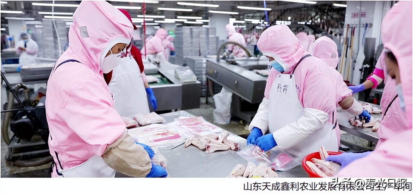 寿光天成食品集团有限公司怎么样,寿光奋斗