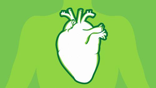 一文看懂iphone15全部升级点,苹果自带健康app数据准吗