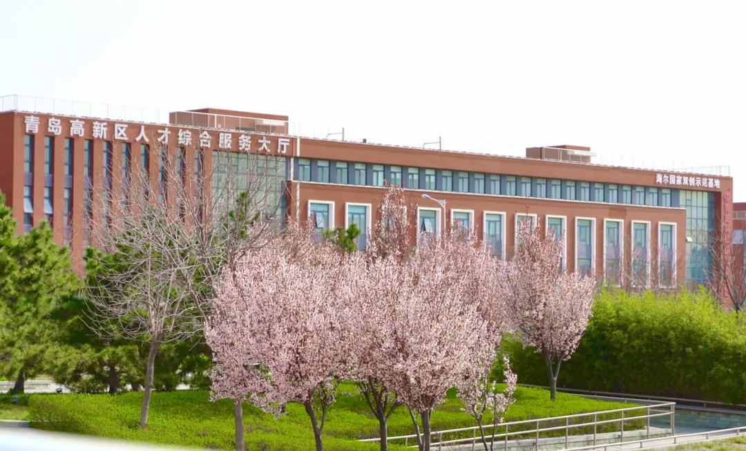 青岛市人才创新创业孵化基地,青岛高新区人才特区