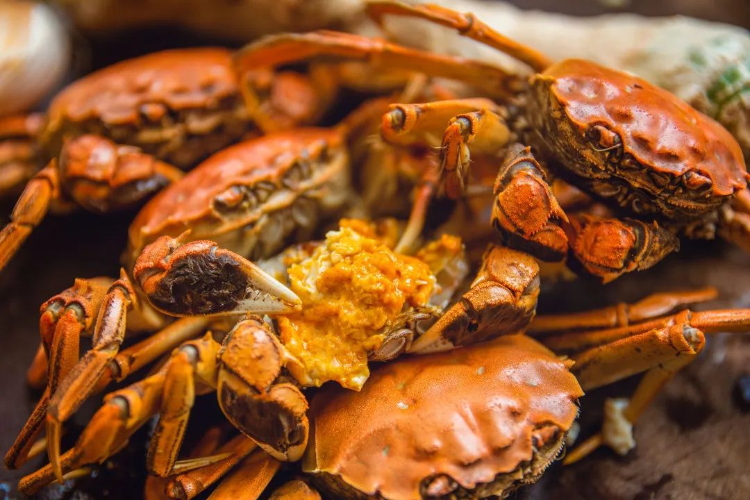 大闸蟹的正确吃法保存方法,大闸蟹的正确吃法和讲究
