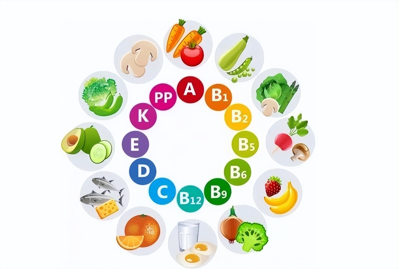 狗狗夏季适合吃什么牌子的狗粮,泰迪毛发光泽的狗粮