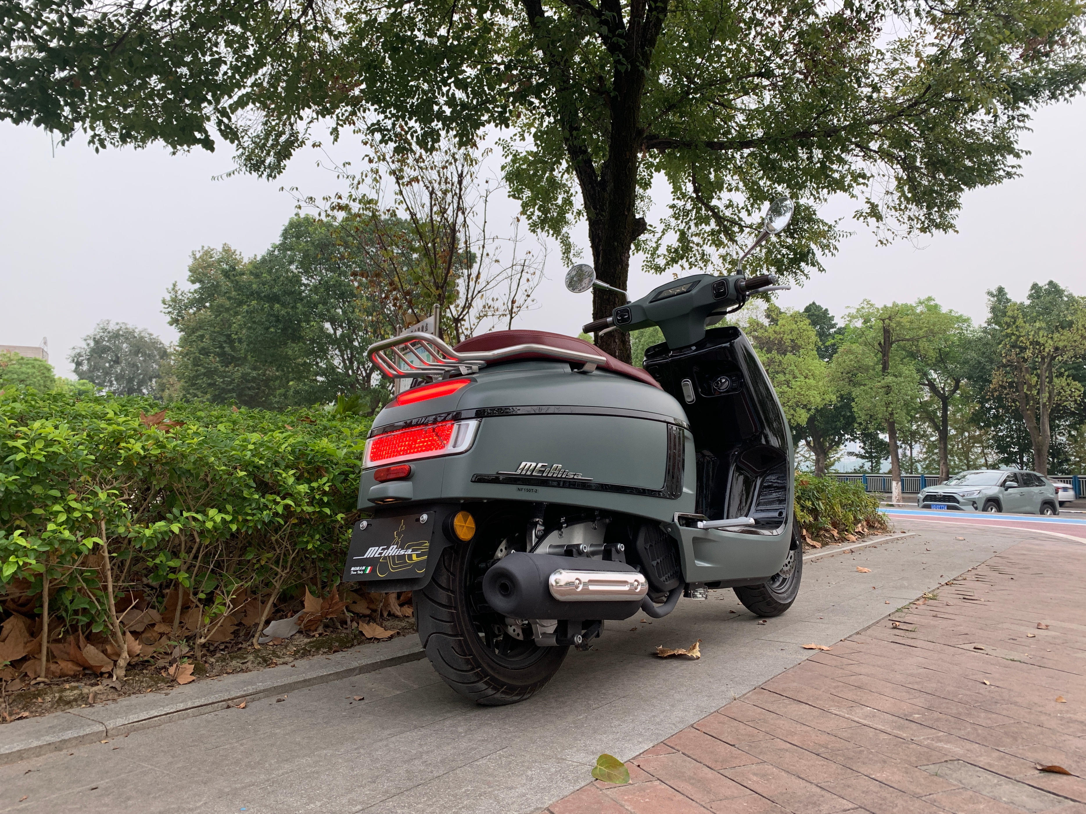 踏板核心是什么,南方蒙娜丽莎踏板测评