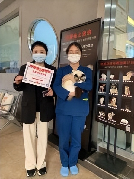 瑞辰爱在行动为爱携手共建美好