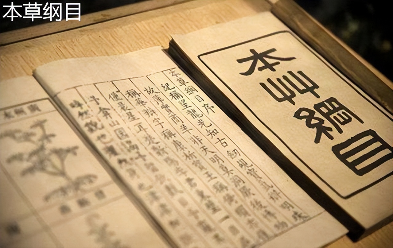 白醋米醋香醋陈醋各有什么区别,白醋陈醋米醋味道区别