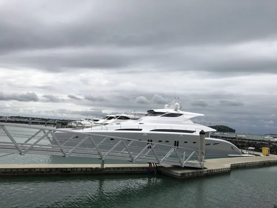 写给不被疫情束缚的心:用文字“云”游新西兰全境