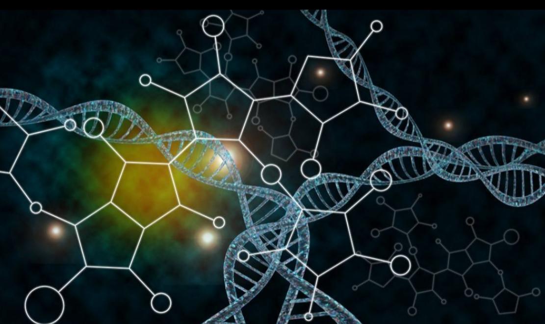 为什么日本人要杂交胚胎实验,日本人的杂交实验成功了吗