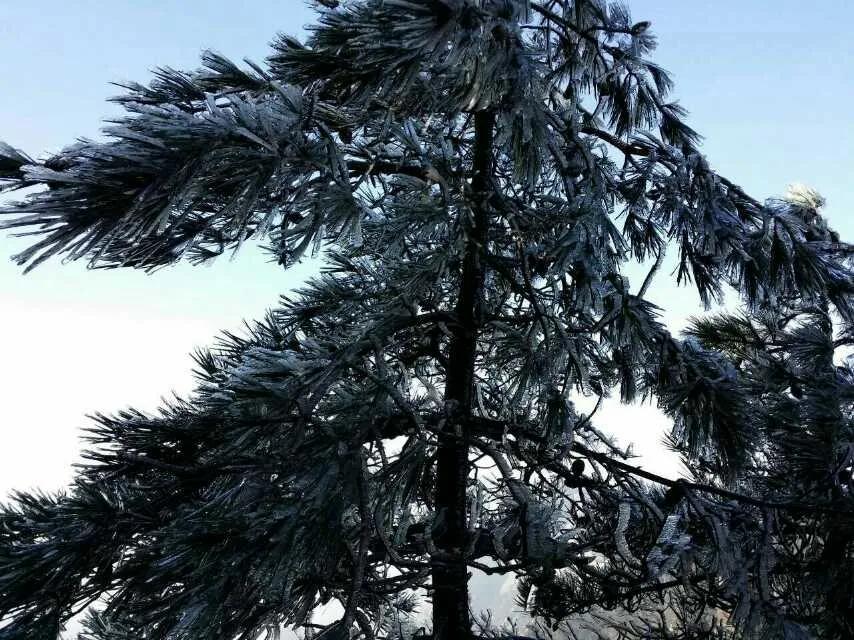 游黄山的经历,第一次旅行黄山