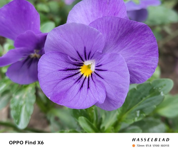 oppofindx6评测长焦,OPPOFindX6Pro120倍长焦测评