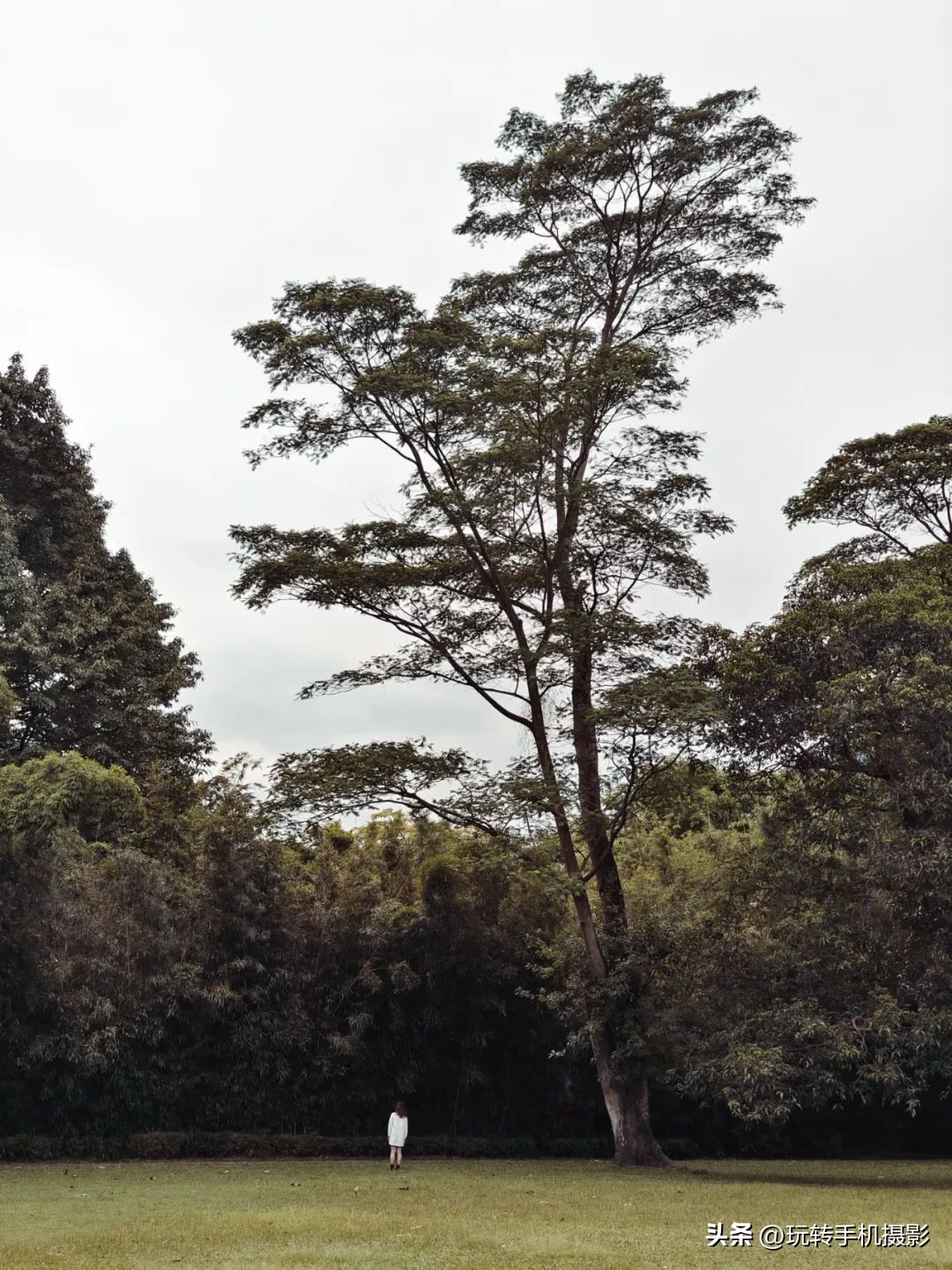 广州拍照打卡地点推荐秋冬,广州旅游拍照打卡点