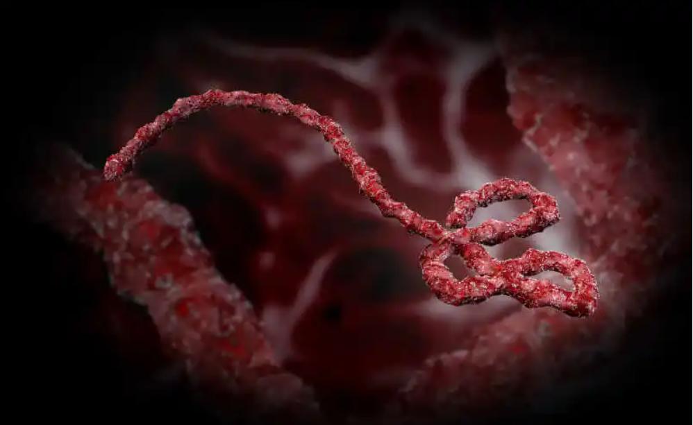 致死率100%！无药可救烹煮杀不死的朊病毒，感染后会有多恐怖？