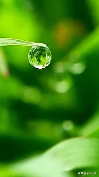 超清超美独一无二手机壁纸图片,养眼养心的壁纸