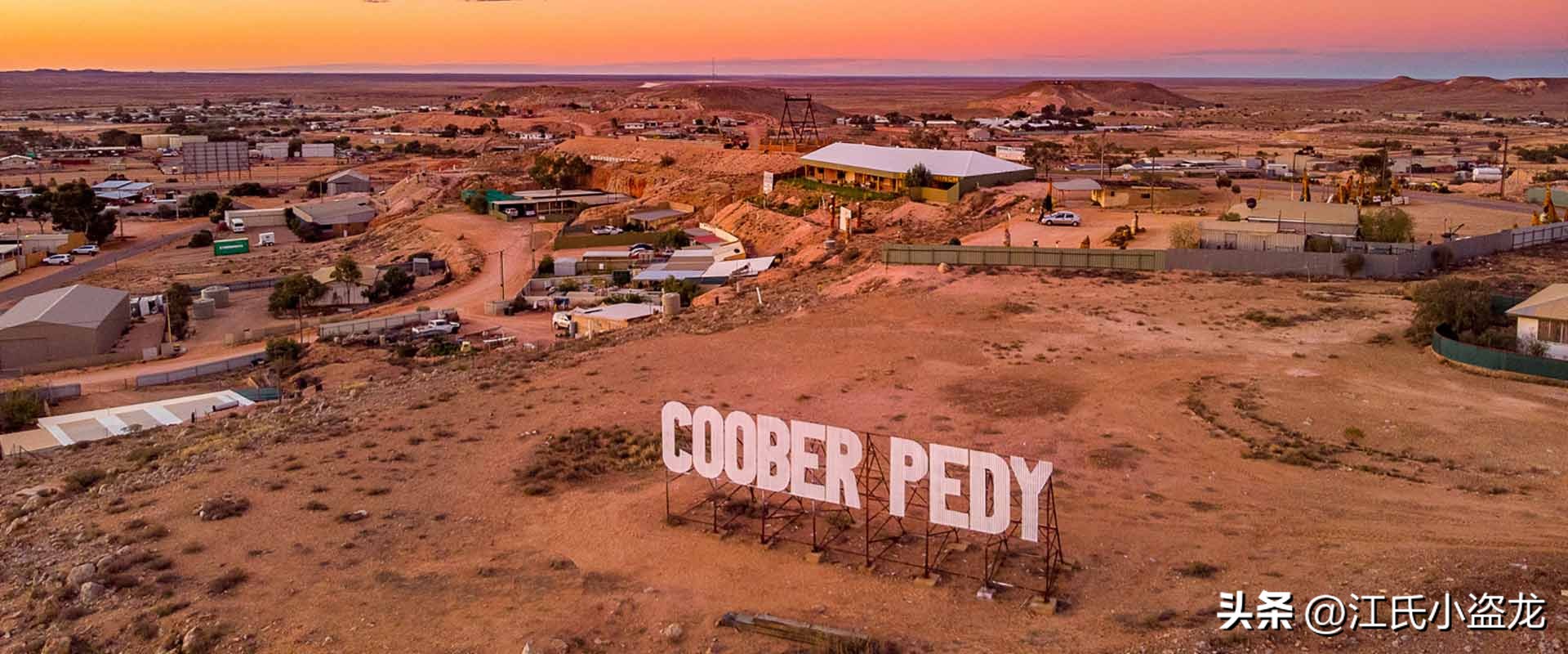 全民众筹买化石，终于知道它吃什么了！