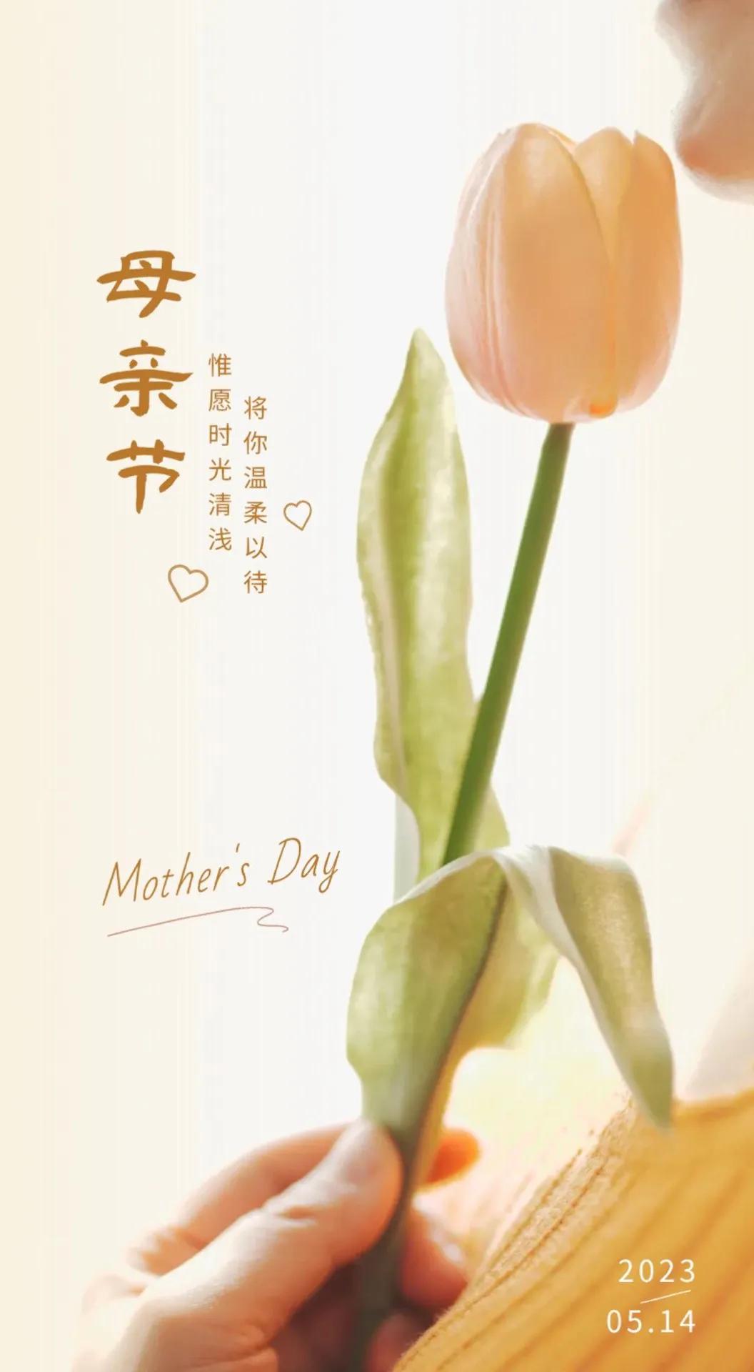 感恩母亲节的精美图片横屏,母亲节快乐的海报图片