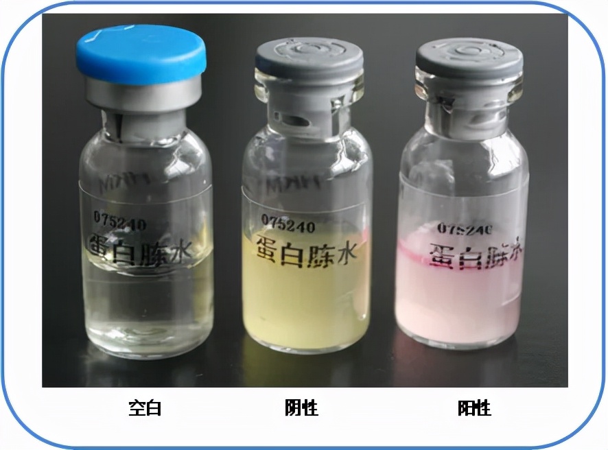 食品微生物沙门菌检验流程,食品中沙门氏菌的检测视频