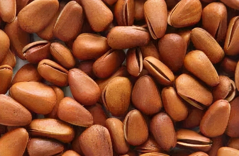 中医说年货·坚果|零食届的“营养担当”，价值和食用禁忌你知道吗～