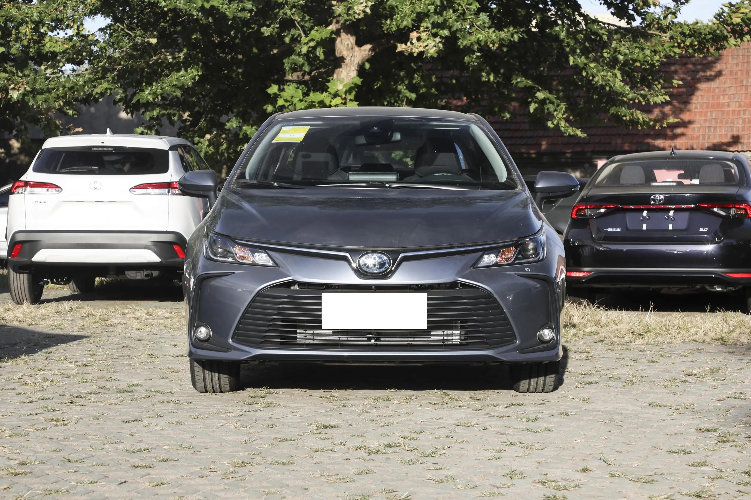 宽敞省油还运动10-15万家轿大推荐,30万左右燃油车油耗低合资suv推荐