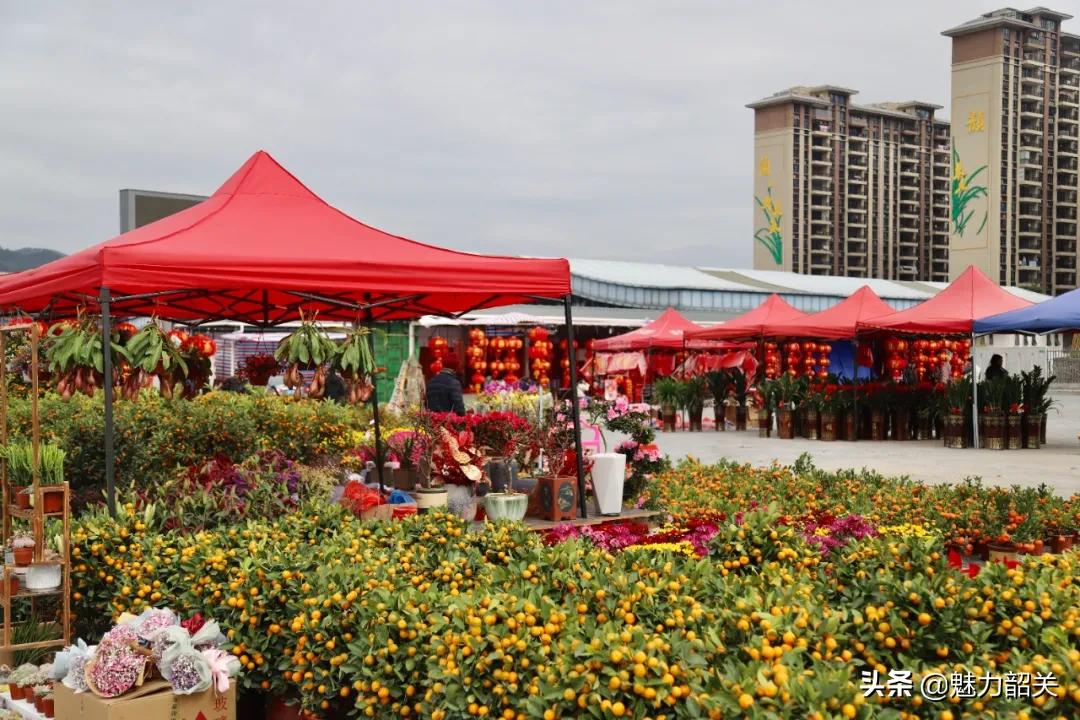 翁源江尾镇年味,翁源兰韵飘香