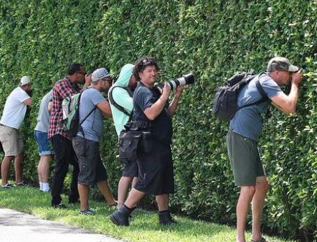 刘涛冯绍峰豪车,刘涛王珂豪门婚姻