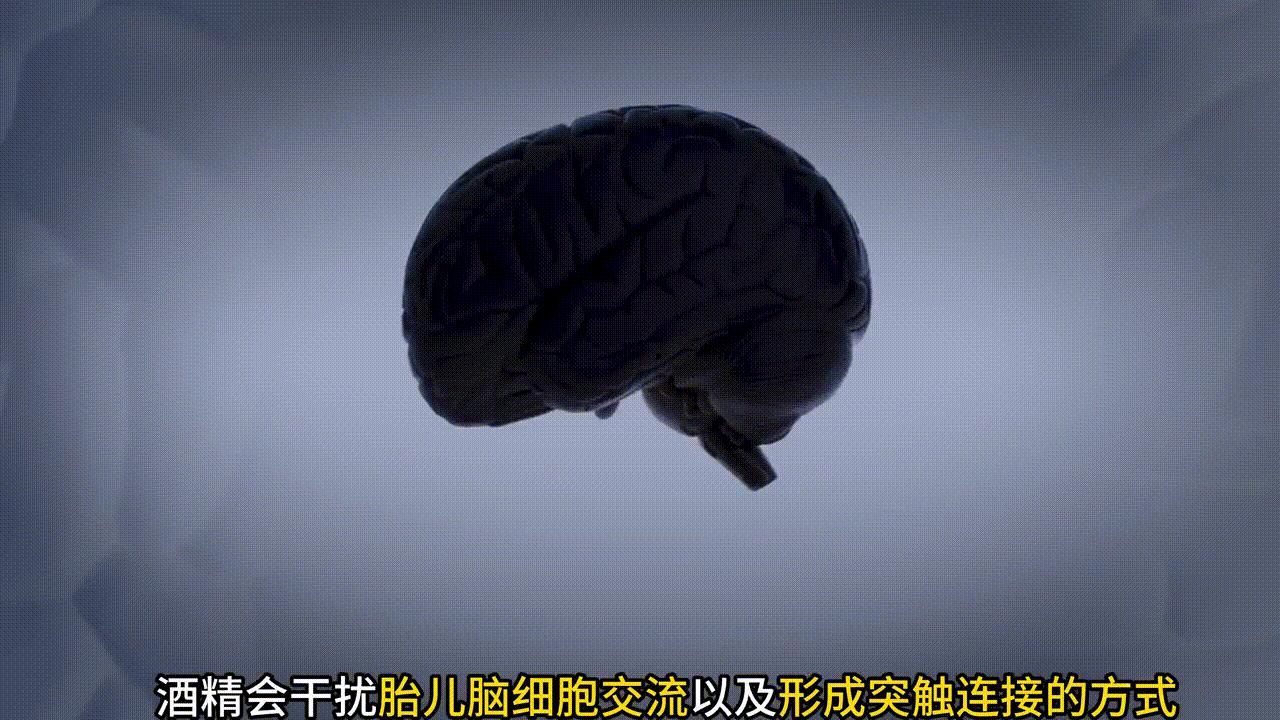 科普视频：酒精会对胎儿造成什么影响？#怀孕