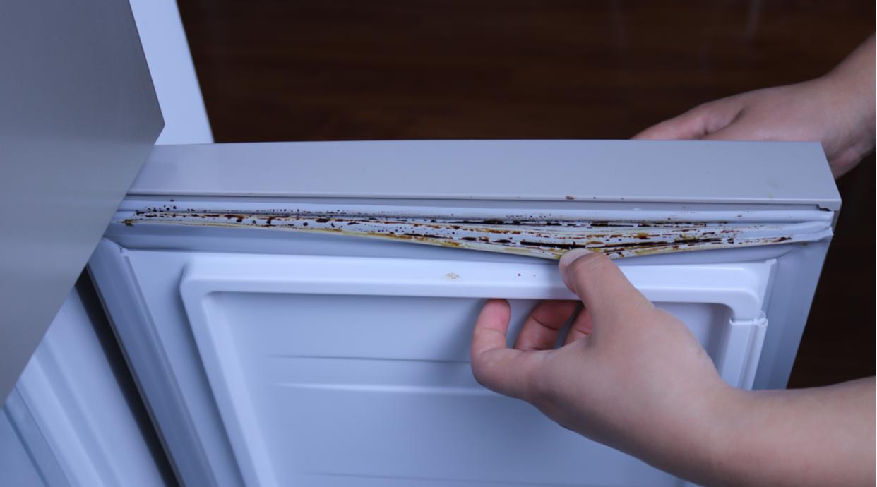 冰箱品牌排行榜2023前十名,冰箱十大品牌2023排行榜最新