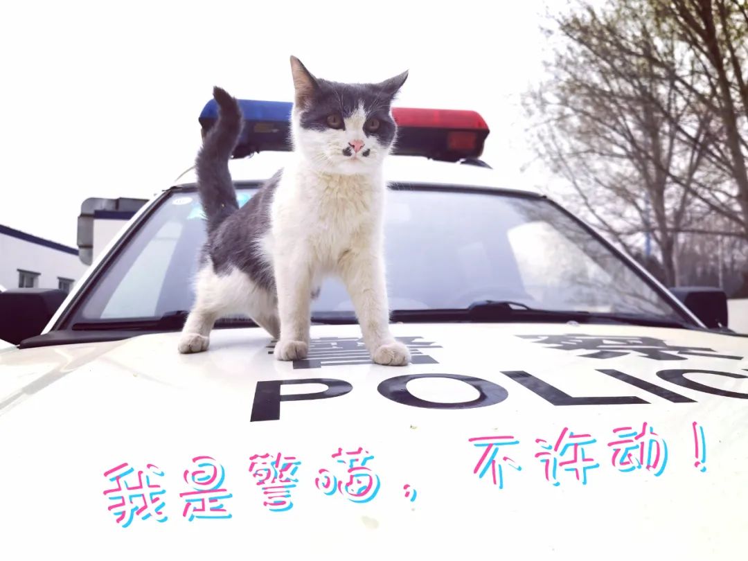 揭秘！派出所的“镇所之宝”