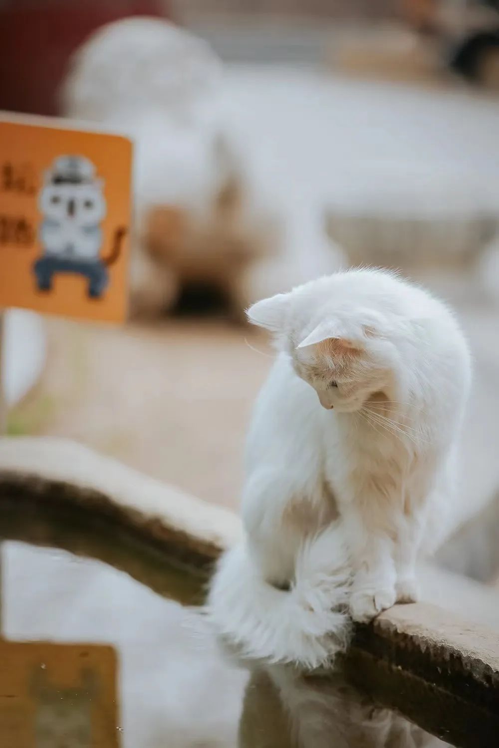 赵明明：上班摸鱼，是我的梦想!