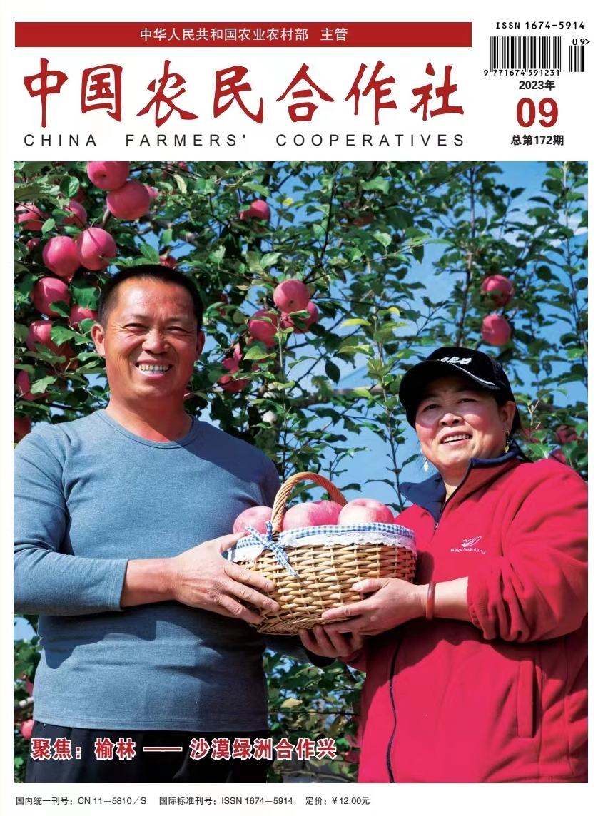 惟愿粮长“玖”功“稻”自然成——记抚远市玖成水稻种植专业合作社