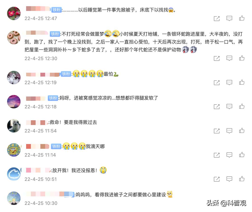 又是蛇！江西老人在被窝里摸到蛇，这种情况该如何处理？