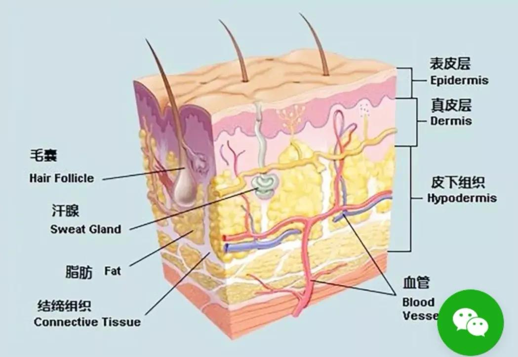 倪海厦说小孩湿疹,为什么说湿疹是大病前兆