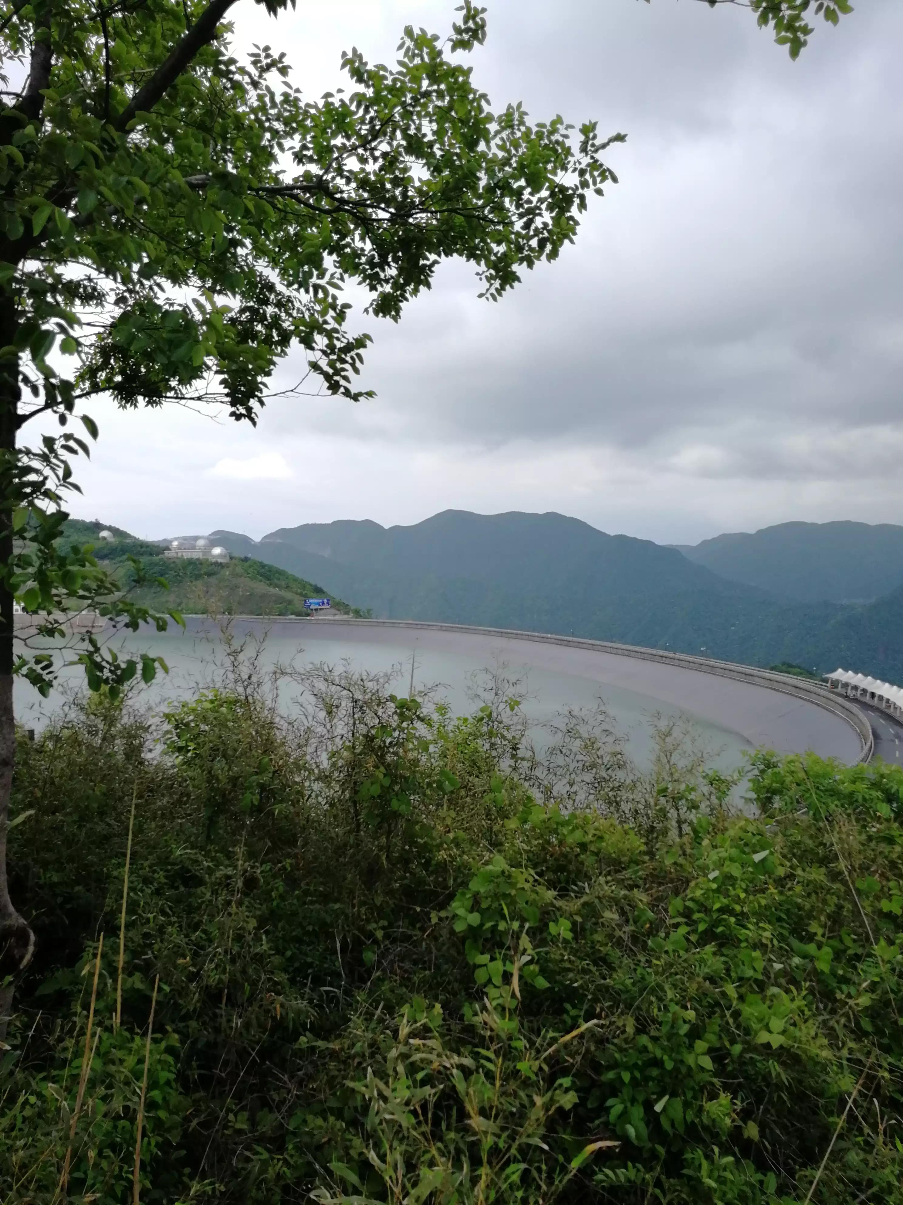 江南梅雨季杨梅,江南梅雨季节的句子