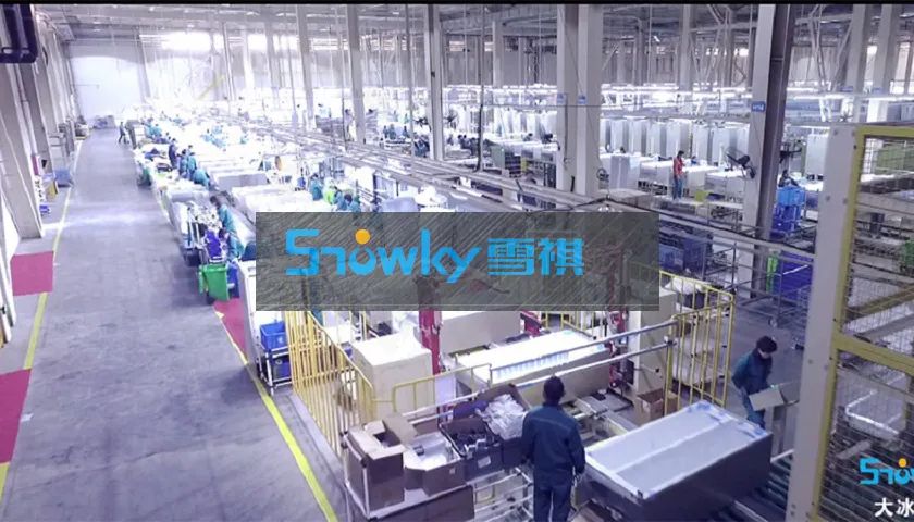 雪祺电气股份有限公司毛利率,雪祺电气盈利分析