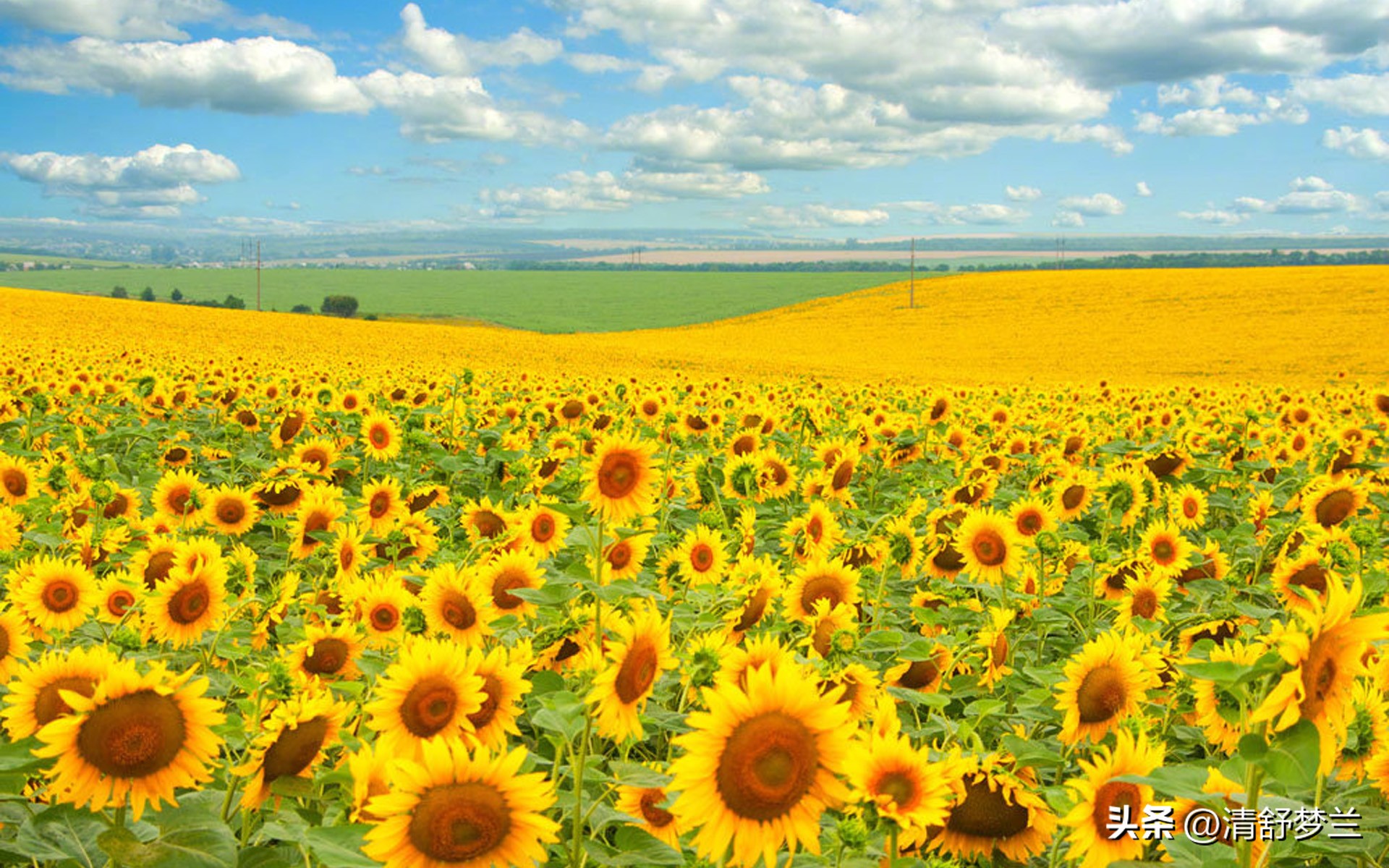 150个心理学定律大全,人格心理学三条学习定律