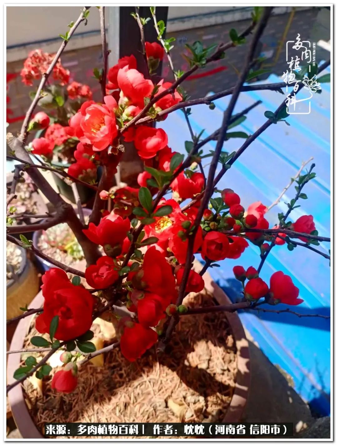 携一人白首择一城终老心之向往,携一人之手择一城终老图片