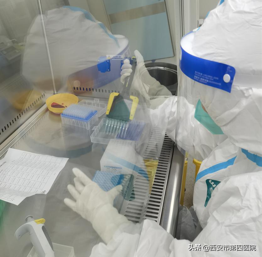 健康中国全民抗疫,秦岭四宝抗疫