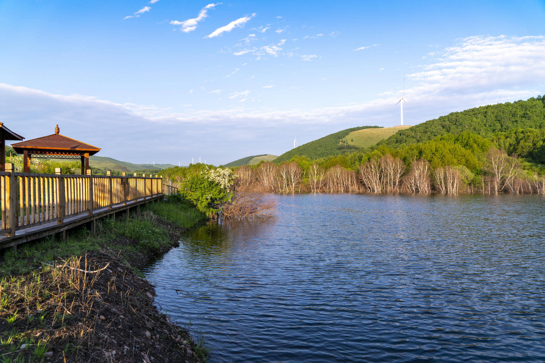 丰宁坝上草原的夏天,丰宁坝上草原夏天景色