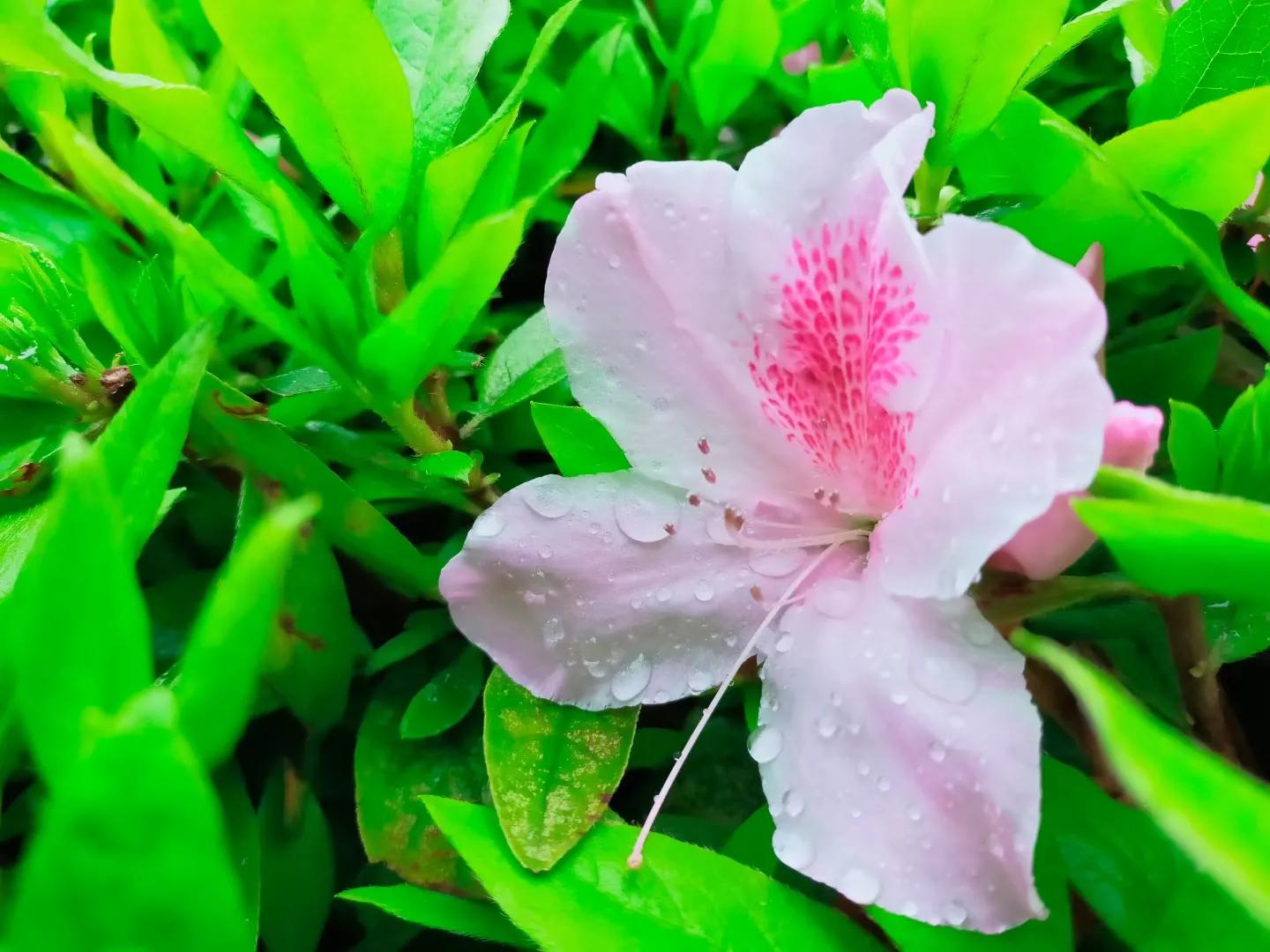 以文入道还有啥,以文入道成圣