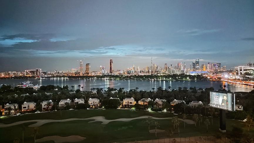 迪拜适合养什么植物,迪拜常见花草