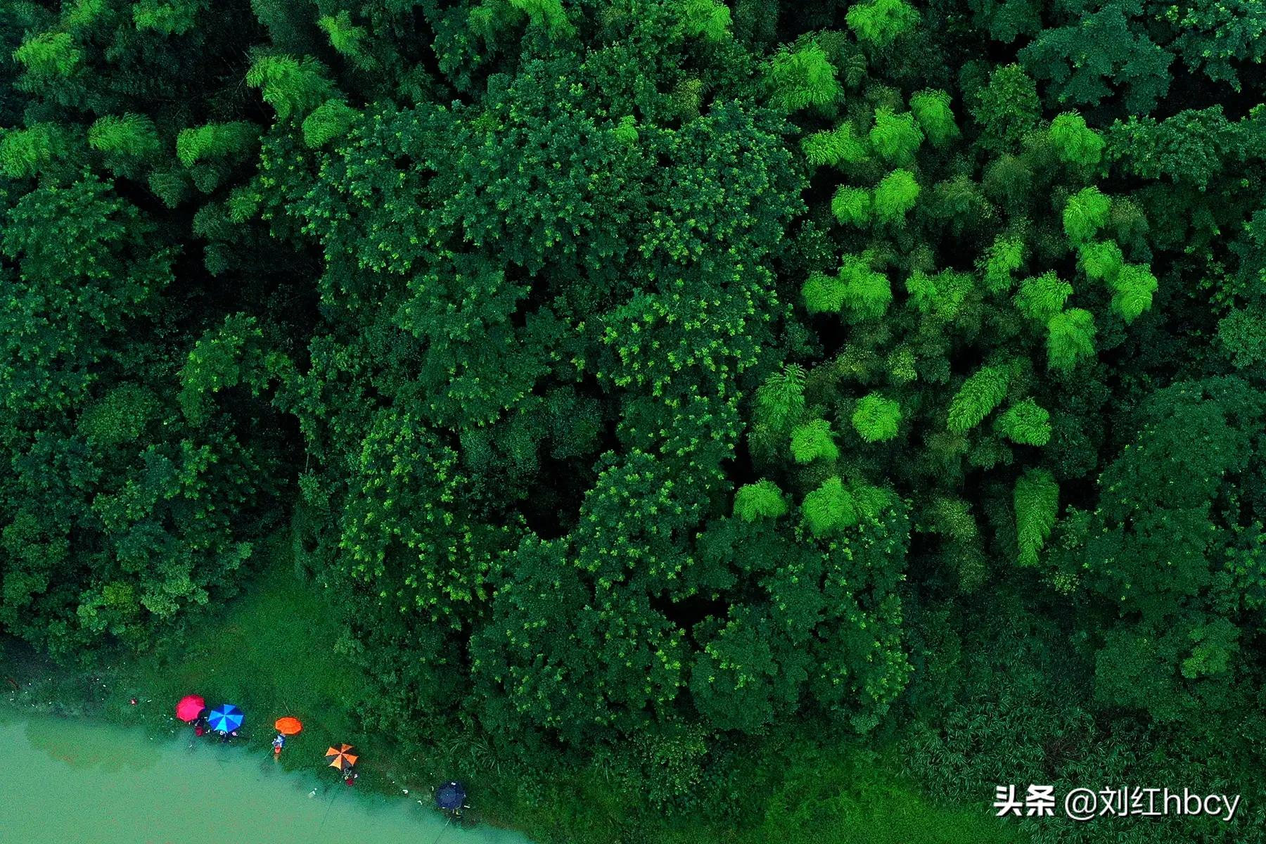 值得一看的小说：《桃花潭》（3）