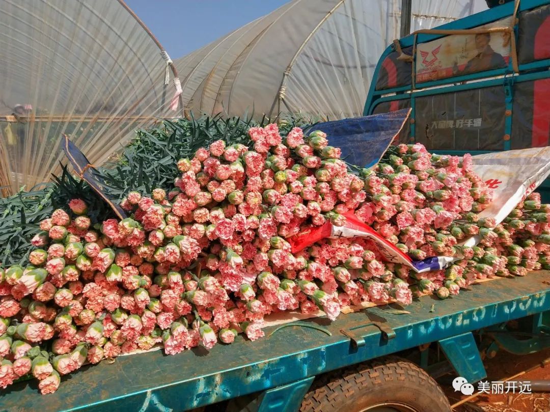 3年6000亿美元,3年赚60万什么水平