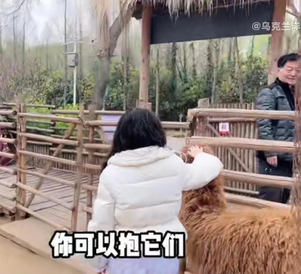 杜霄和乌克兰娜娜生了吗,乌克兰娜娜和杜霄女儿见面了吗