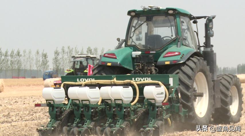 减出亿斤粮！潍柴雷沃以机收减损促颗粒归仓