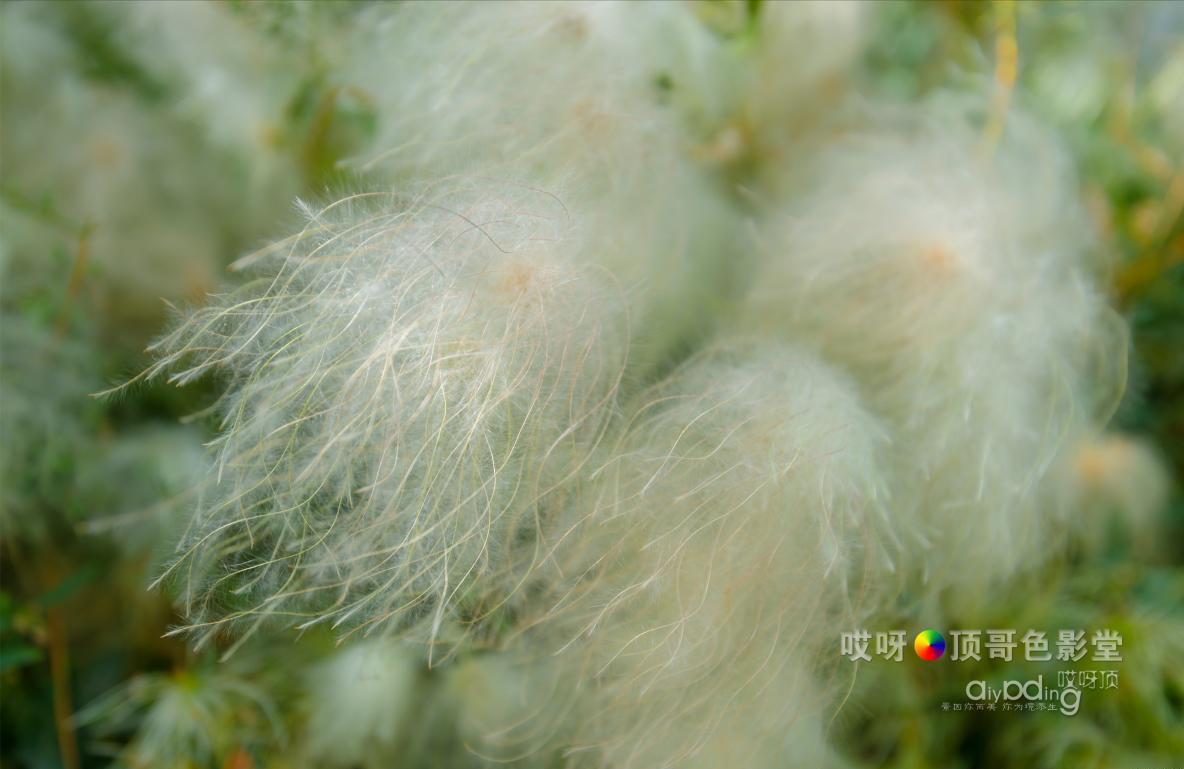 女司机带娃去新疆自驾游,带着女司机自驾游兰州