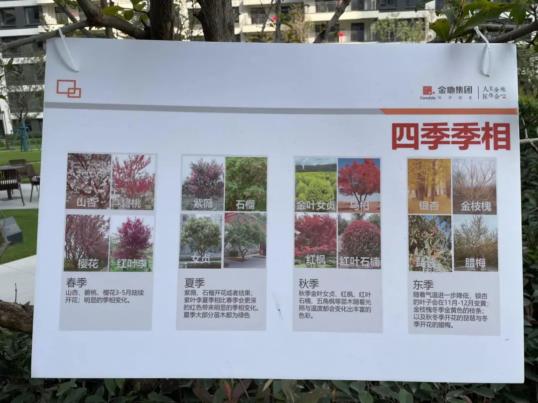 验房金地如期交付,金地2025年交房靠谱吗