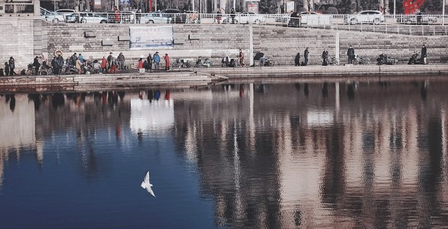 农闲时节挣个零花钱,年前做个什么小生意挣点零花钱